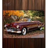 Металлическая табличка Cadillac Sixty-Two Convertible 082